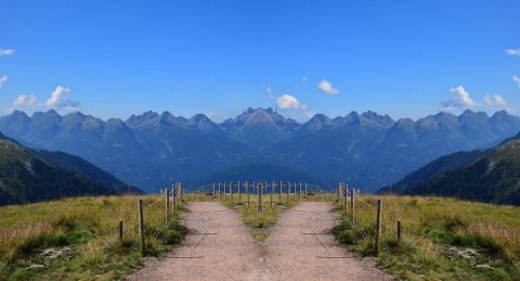 When you come to a fork in the road, take it